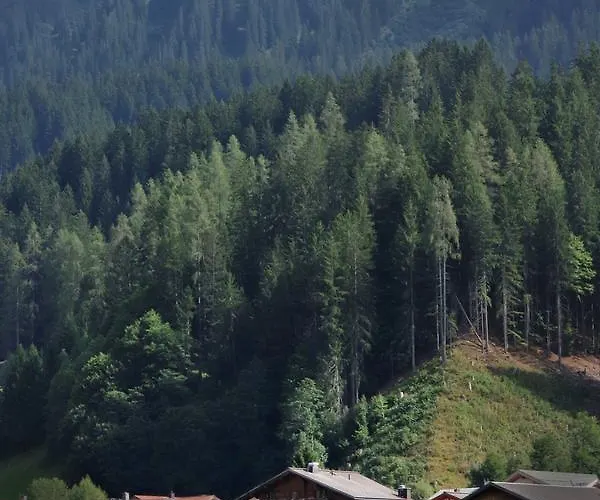 Alte Post Hotel Selfranga